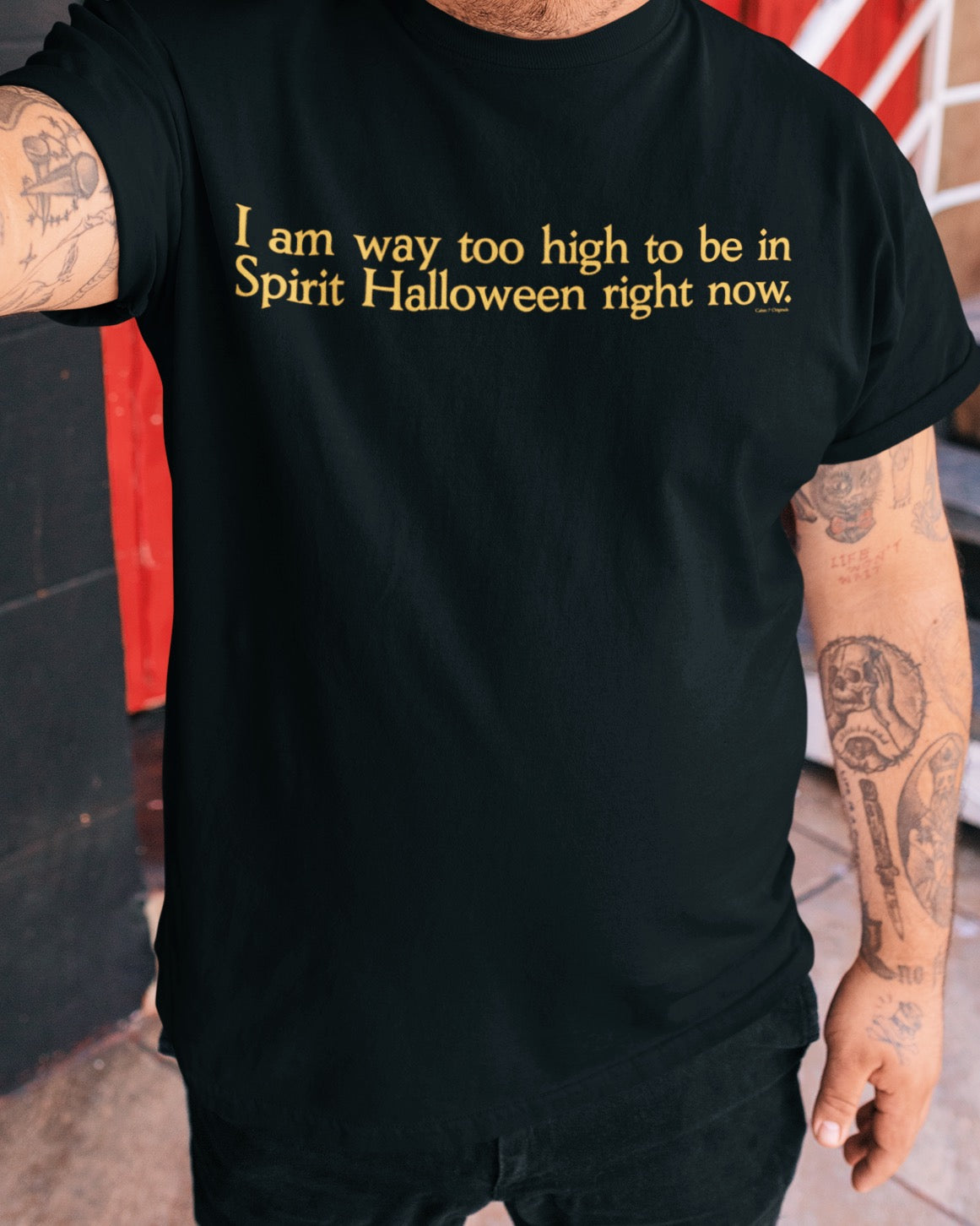 Too High For Spirit Halloween T-Shirt